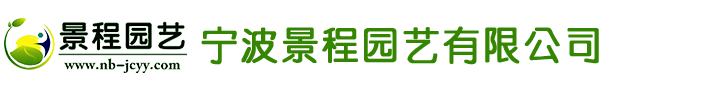 中通智能 中通智能